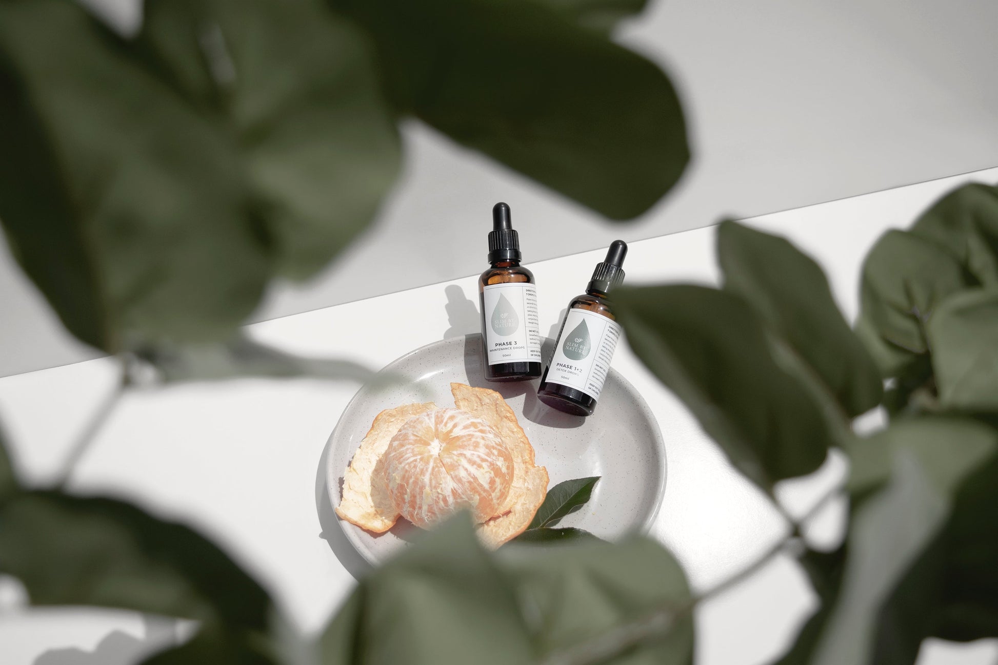 Slim By Nature detox drops with mandarin and natural foliage — editorial overhead