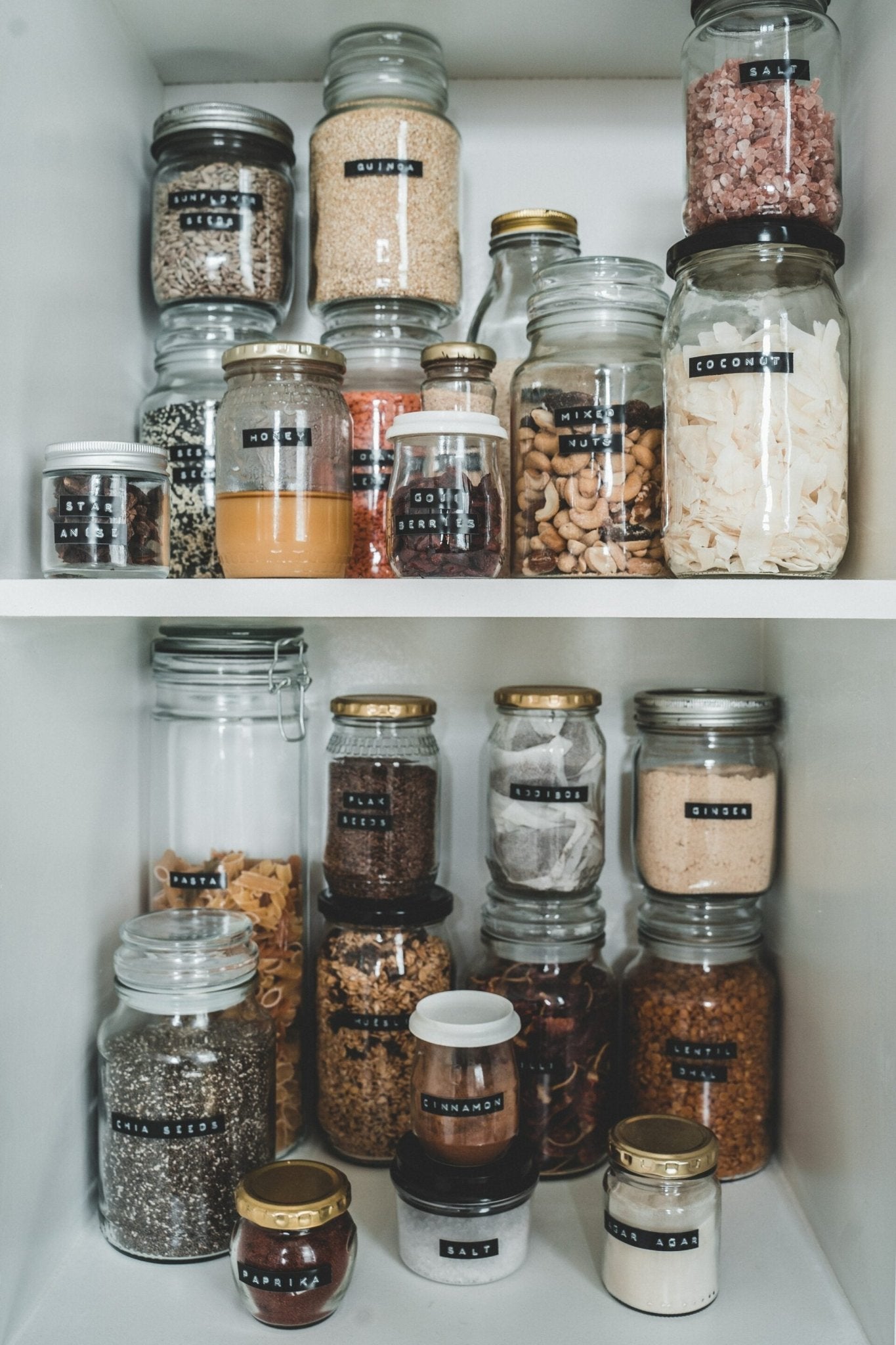 Post-Detox Blueprint - My Store