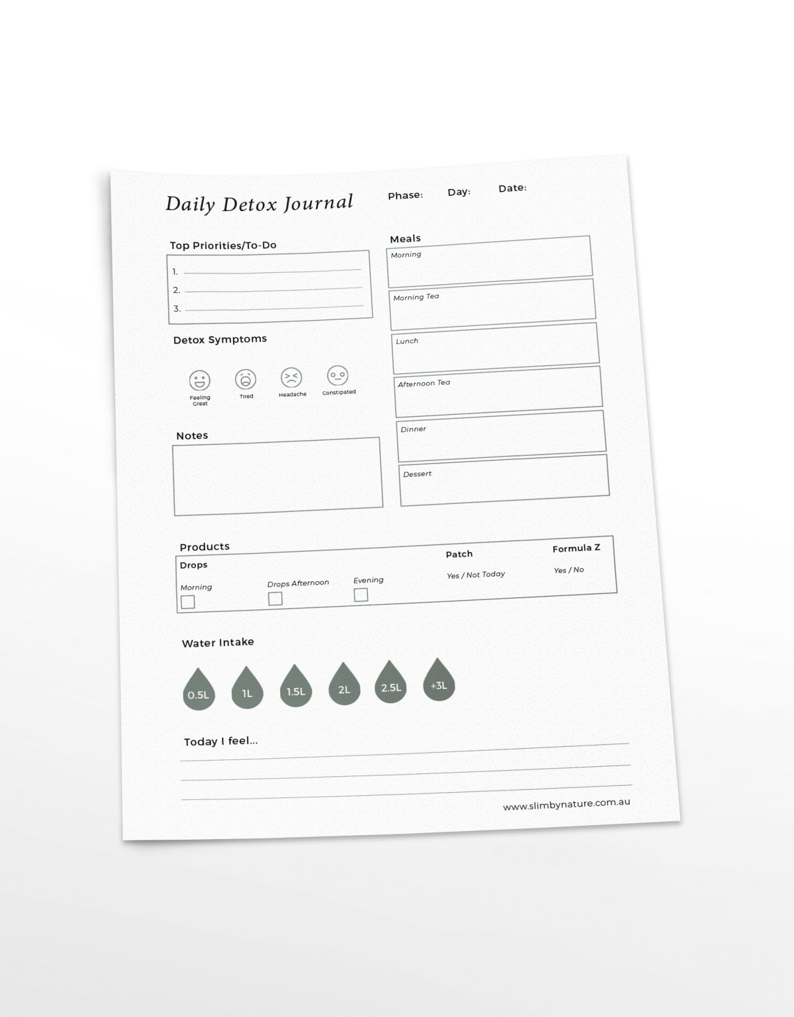 Daily Detox Journal Printable