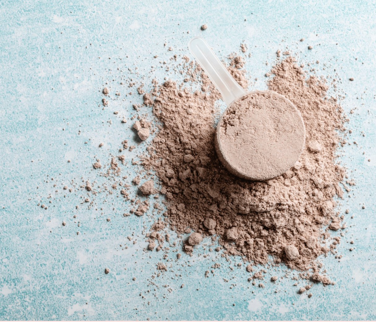 PlantWell Protein Powder - Chocolate - My Store