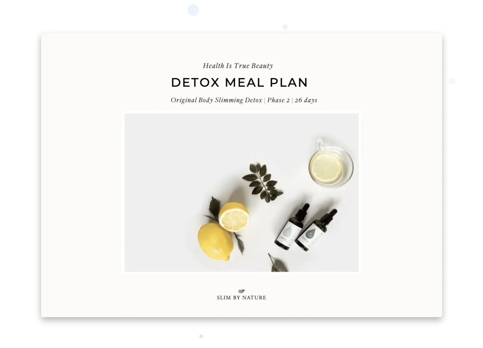 SBN Detox Meal Plan
